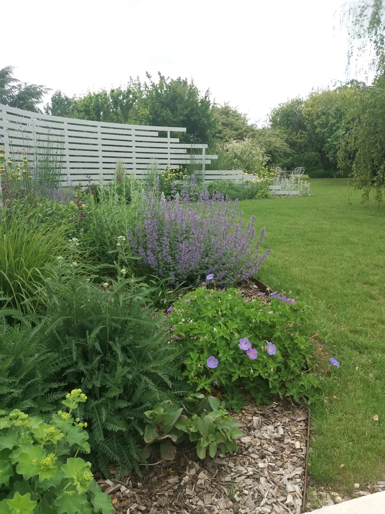 Massif de fleurs violette et plantes vertes dans jardin particulier bien entretenu
